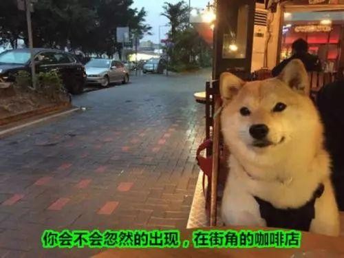 长沙单身微信万人相亲会了解一下!